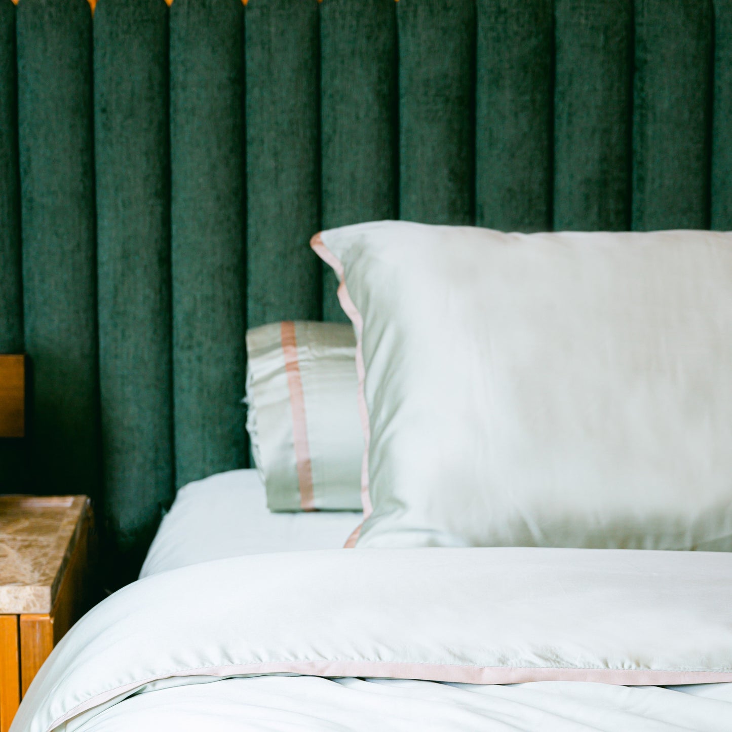 Extra 2 Pillow Cases DB Style x Agatha